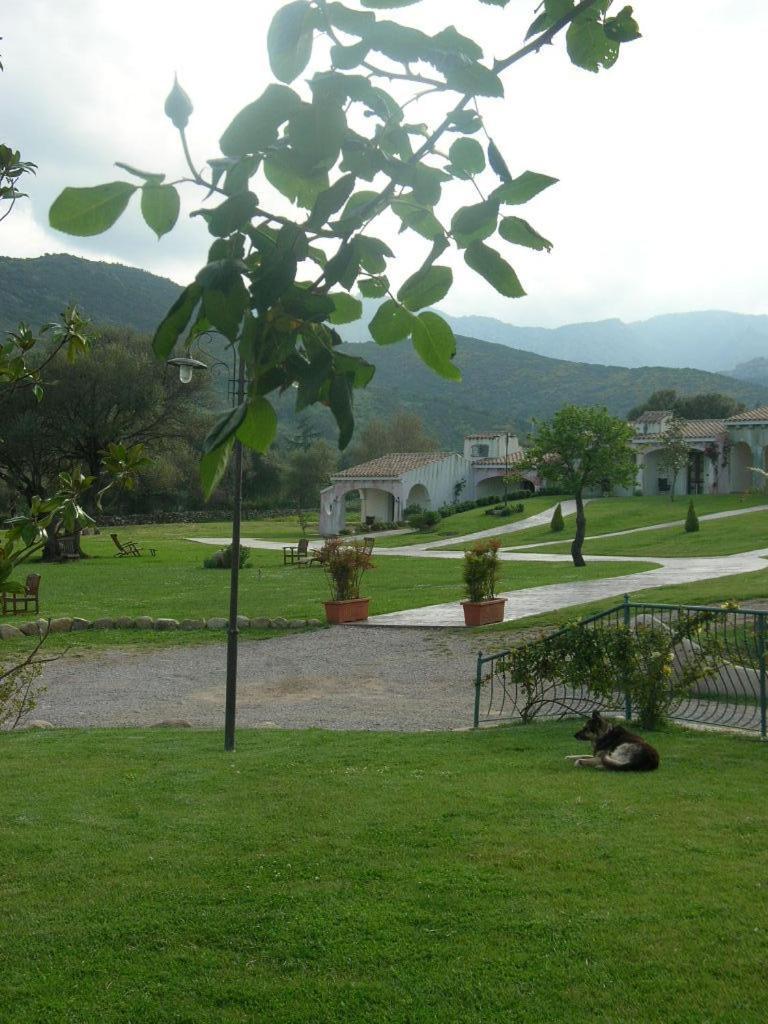 Tenuta Le Terre 1927 Pensionat San Teodoro  Exteriör bild