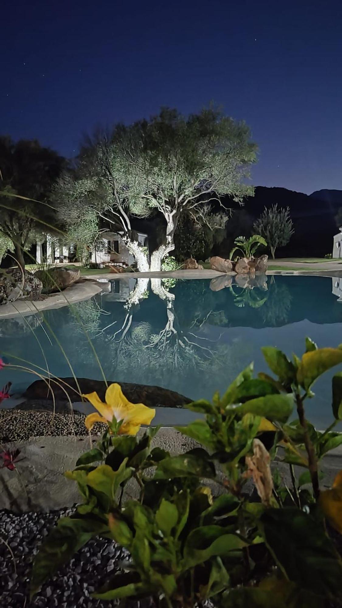 Tenuta Le Terre 1927 Pensionat San Teodoro  Exteriör bild