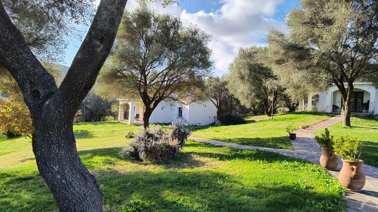 Tenuta Le Terre 1927 Pensionat San Teodoro  Exteriör bild