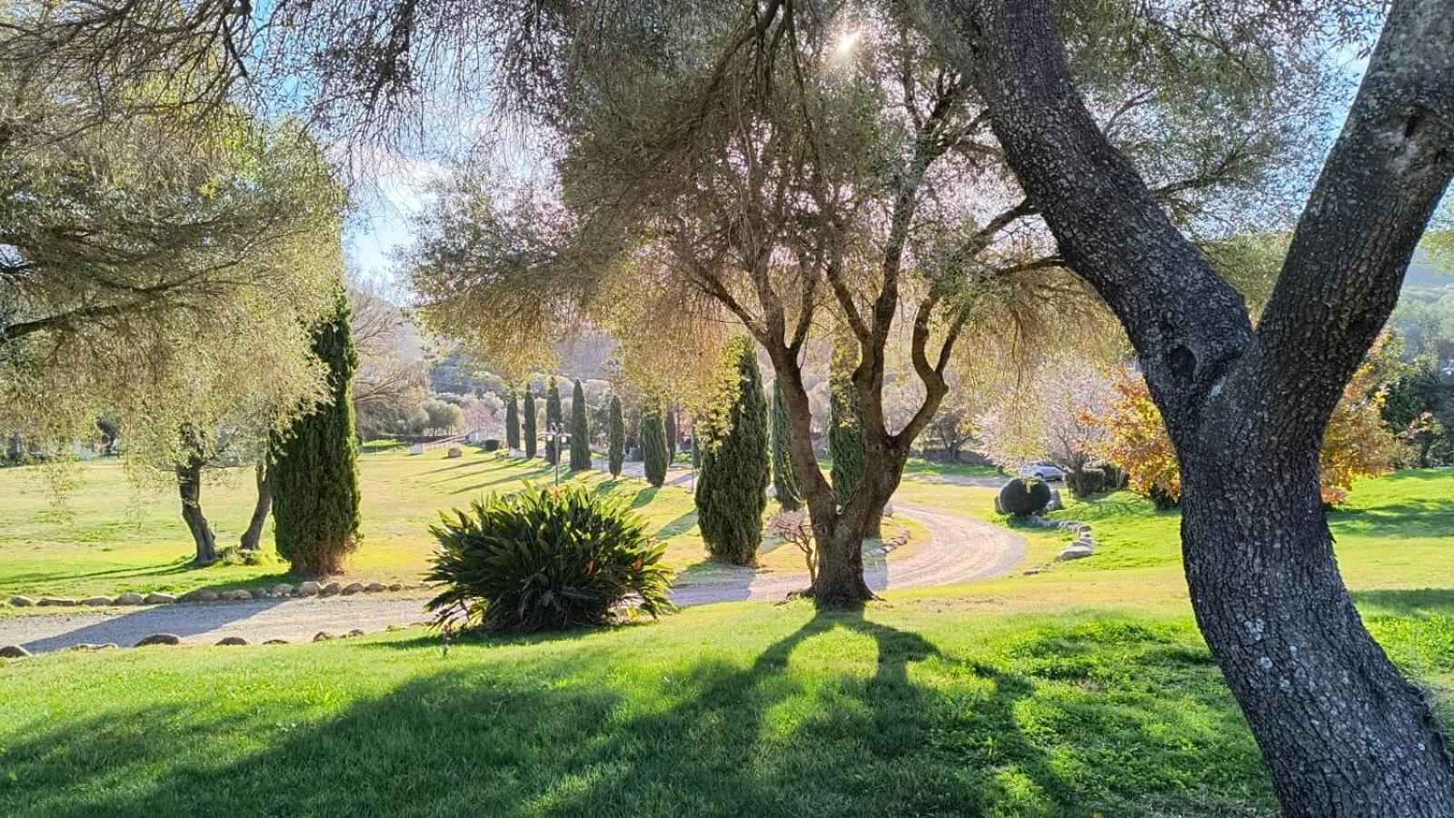 Tenuta Le Terre 1927 Pensionat San Teodoro  Exteriör bild